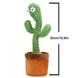 TuniCacti : Cactus Dansant